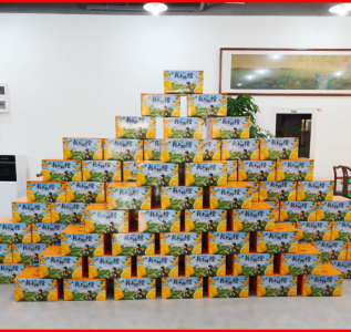 _2025-11-26_141415_369